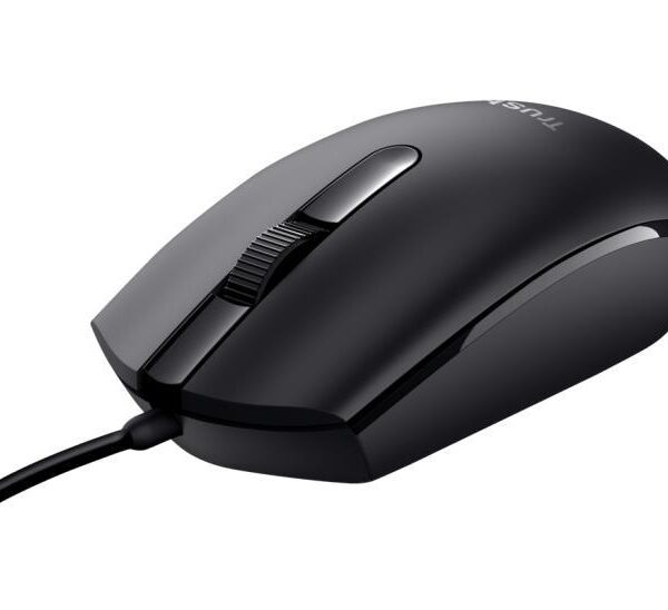 MOUSE 24271 AMBIDESTRO